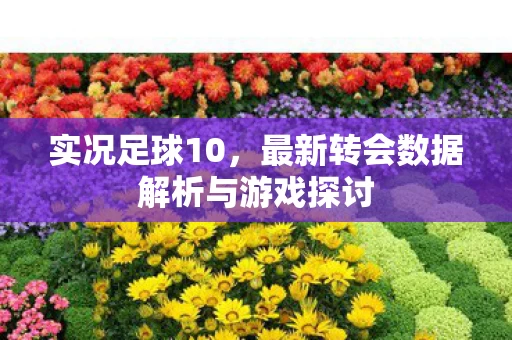 最新转会数据解析与游戏探讨图片