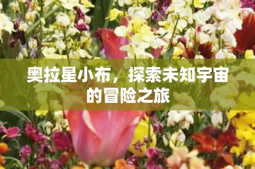 探索未知宇宙的冒险之旅图片