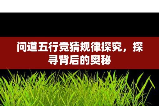 问道五行竞猜规律探究图片