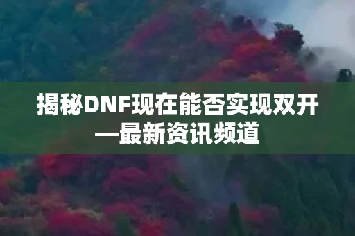 揭秘DNF现在能否实现双开图片