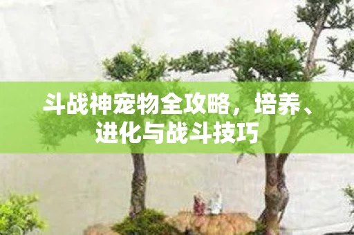 斗战神宠物全攻略图片