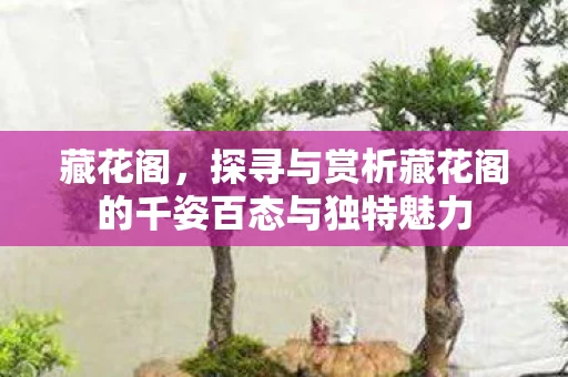 探寻与赏析藏花阁的千姿百态与独特魅力图片