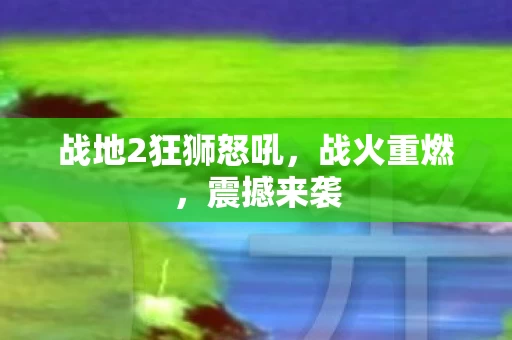 战地2狂狮怒吼图片