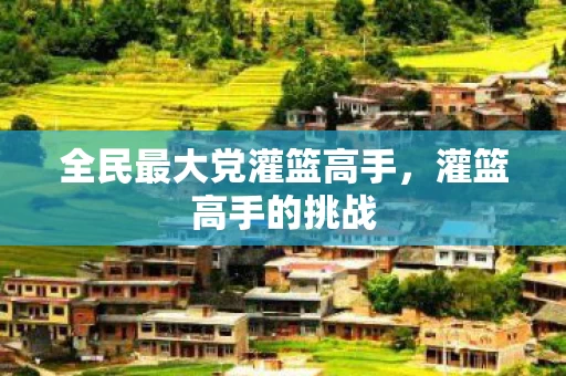 全民最大党灌篮高手图片