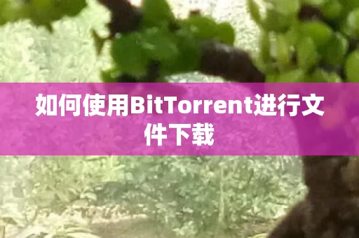 如何使用BitTorrent进行文件下载图片