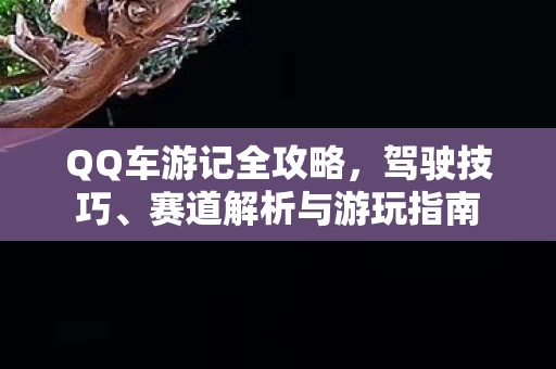 赛道解析与游玩指南图片