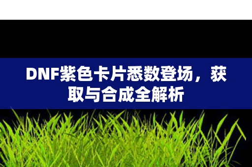 DNF紫色卡片悉数登场图片