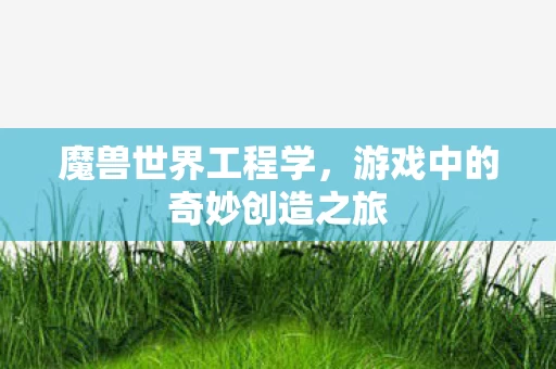 游戏中的奇妙创造之旅图片