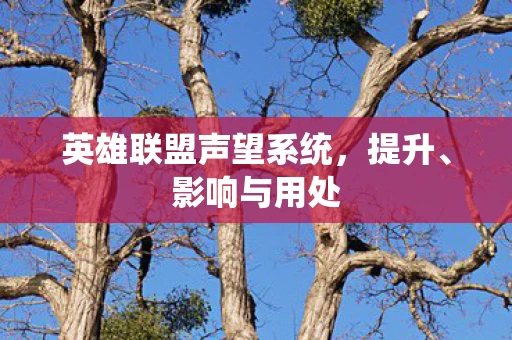 英雄联盟声望系统图片