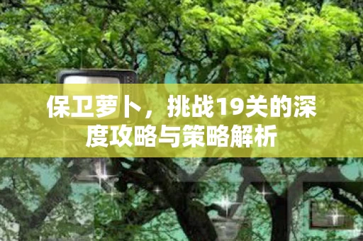 挑战19关的深度攻略与策略解析图片