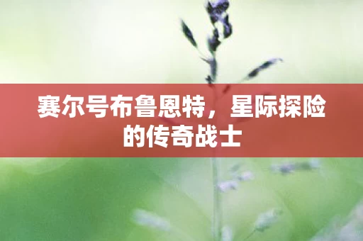 星际探险的传奇战士图片