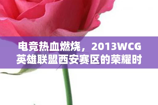 2013WCG英雄联盟西安赛区的荣耀时刻图片