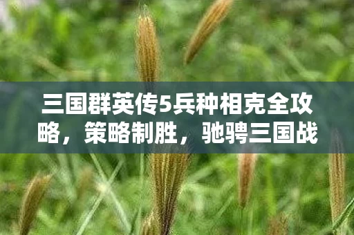 三国群英传5兵种相克全攻略图片