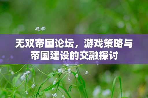 游戏策略与帝国建设的交融探讨图片