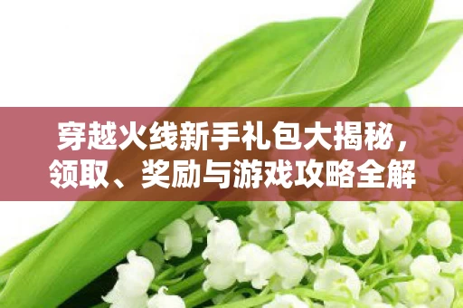 穿越火线新手礼包大揭秘图片