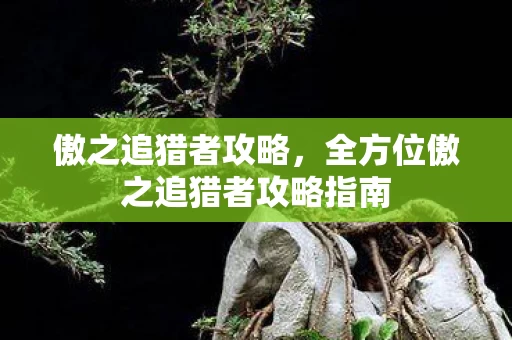 全方位傲之追猎者攻略指南图片