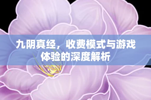 收费模式与游戏体验的深度解析图片
