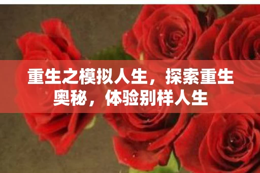 重生之模拟人生图片