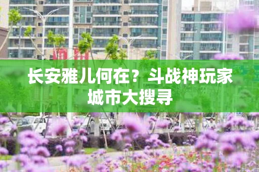 斗战神玩家城市大搜寻图片