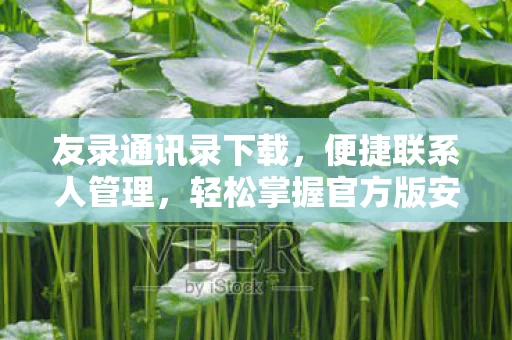 轻松掌握官方版安卓vV2图片