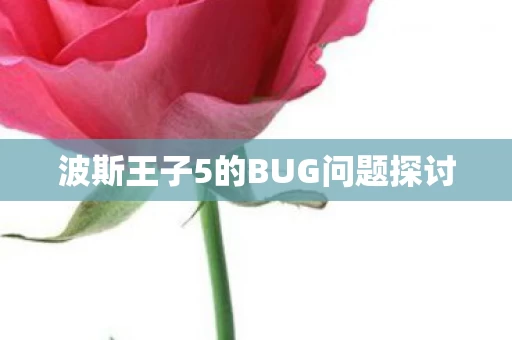 波斯王子5的BUG问题探讨图片