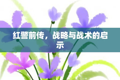 战略与战术的启示图片