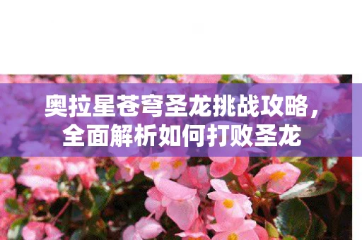 奥拉星苍穹圣龙挑战攻略图片