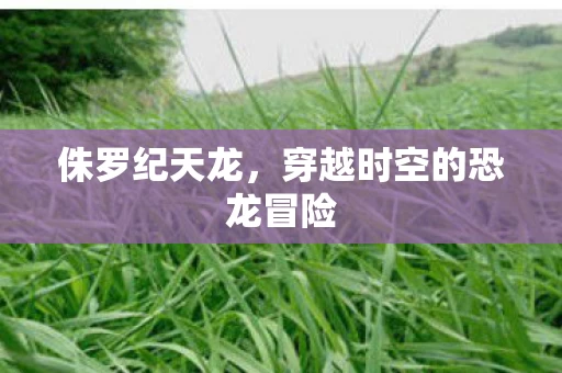穿越时空的恐龙冒险图片