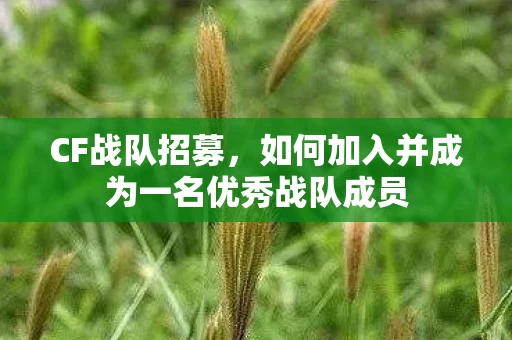 如何加入并成为一名优秀战队成员图片