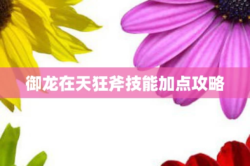 御龙在天狂斧技能加点攻略图片