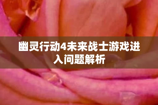 幽灵行动4未来战士游戏进入问题解析图片