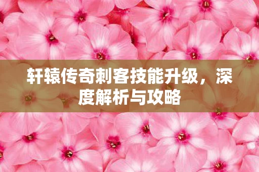 轩辕传奇刺客技能升级图片