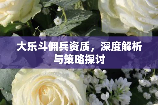 深度解析与策略探讨图片