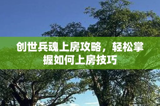 轻松掌握如何上房技巧图片