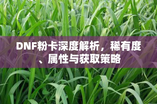DNF粉卡深度解析图片