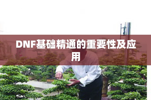 DNF基础精通的重要性及应用图片