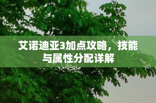 艾诺迪亚3加点攻略图片