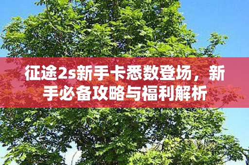 征途2s新手卡悉数登场图片