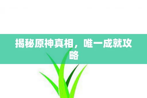 揭秘原神真相图片