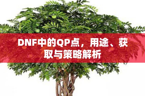 DNF中的QP点图片