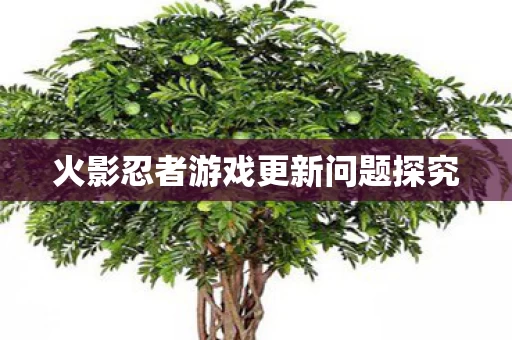 火影忍者游戏更新问题探究图片