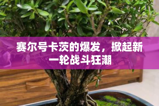 掀起新一轮战斗狂潮图片
