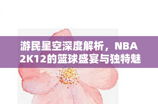 NBA 2K12的篮球盛宴与独特魅力图片