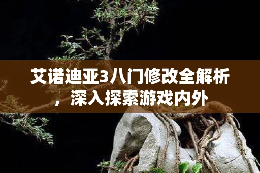 艾诺迪亚3八门修改全解析图片
