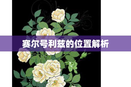 赛尔号利兹的位置解析图片