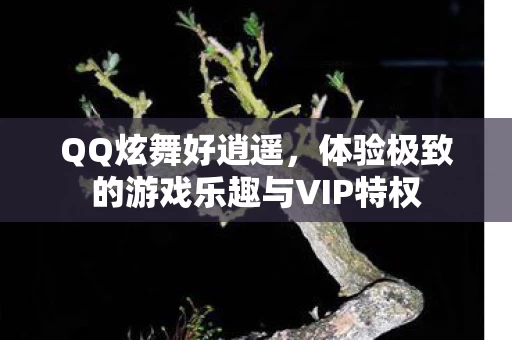 体验极致的游戏乐趣与VIP特权图片