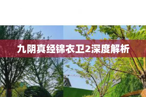 九阴真经锦衣卫2深度解析图片