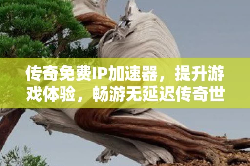 传奇免费IP加速器图片