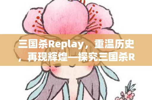 探究三国杀Replay的魅力图片