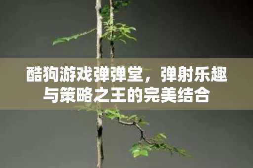 弹射乐趣与策略之王的完美结合图片